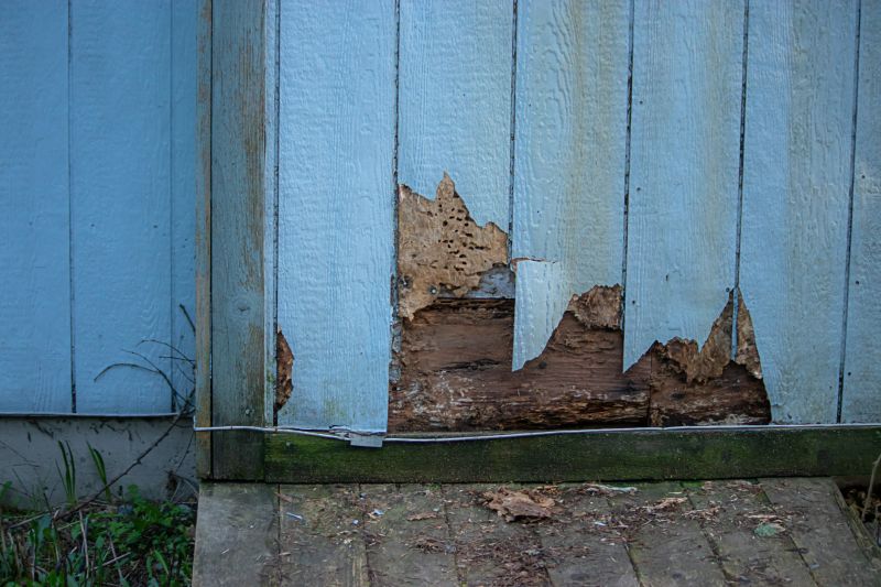 Siding Repairs