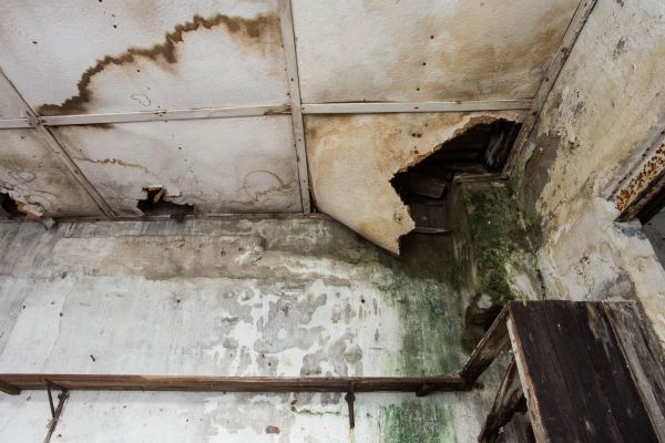 Water Damage Service in Elmhurst
