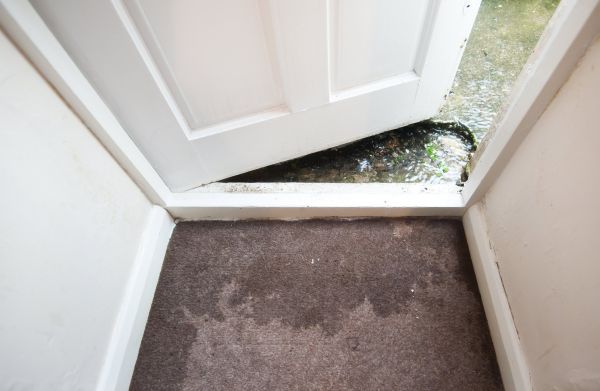 Wet Carpet Restoration in Elmhurst