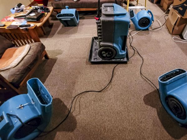 Flood Damage Recovery in Elmhurst