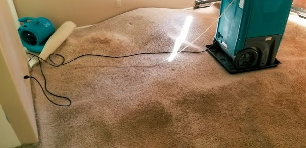 Flood Damage Cleanup in Elmhurst