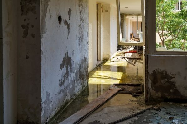 Cost of Water Removal Service in Elmhurst