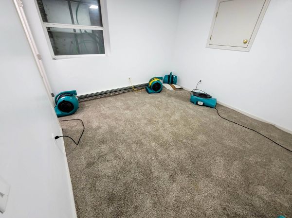Flood Restoration Service in Elmhurst