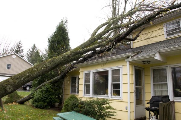 Hurricane Damage Repair in Elmhurst