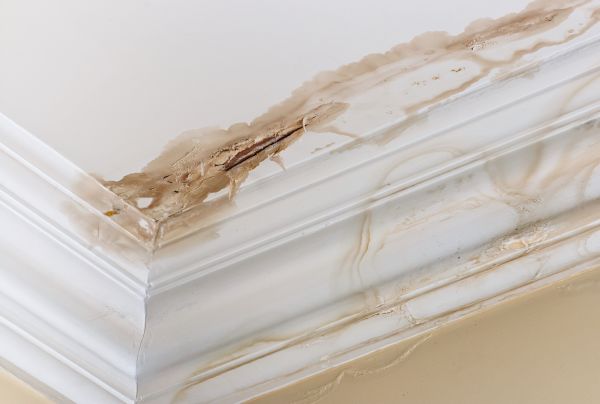 Water Damage Recovery in Elmhurst