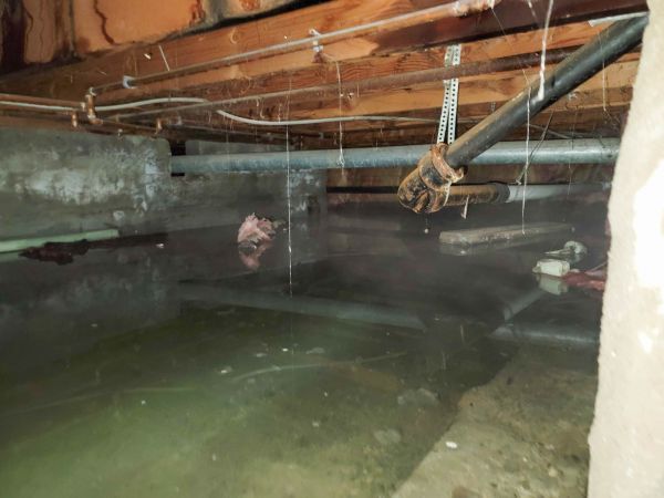 Crawlspace Water Restoration in Elmhurst